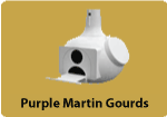 Purple Martin Gourds