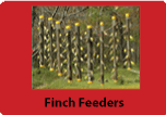 Finch Feeders